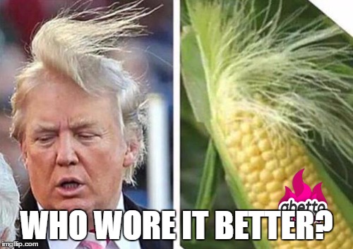 trump vs corn | WHO WORE IT BETTER? | image tagged in trump vs corn | made w/ Imgflip meme maker