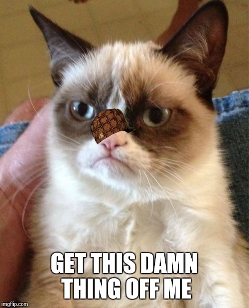 Grumpy Cat Meme | GET THIS DAMN THING OFF ME | image tagged in memes,grumpy cat,scumbag | made w/ Imgflip meme maker