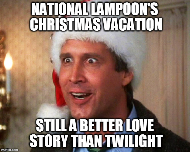 you know it | NATIONAL LAMPOON'S CHRISTMAS VACATION; STILL A BETTER LOVE STORY THAN TWILIGHT | image tagged in christmas vacation | made w/ Imgflip meme maker