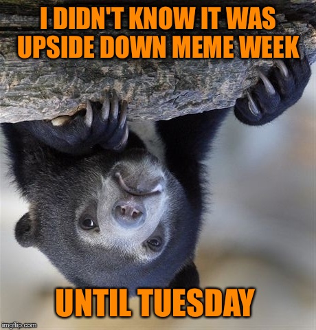  MyrianWaffleEV upside down week ;-) 
 | I DIDN'T KNOW IT WAS UPSIDE DOWN MEME WEEK; UNTIL TUESDAY | image tagged in memes,confession bear | made w/ Imgflip meme maker