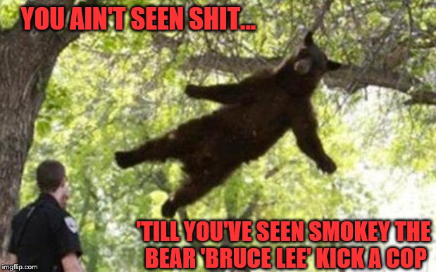 YOU AIN'T SEEN SHIT... 'TILL YOU'VE SEEN SMOKEY THE BEAR 'BRUCE LEE' KICK A COP | image tagged in kung fu | made w/ Imgflip meme maker