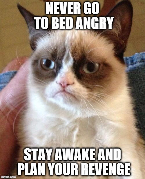 Grumpy Cat Meme | NEVER GO TO BED ANGRY; STAY AWAKE AND PLAN YOUR REVENGE | image tagged in memes,grumpy cat | made w/ Imgflip meme maker