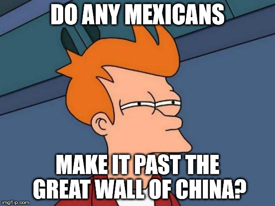 Futurama Fry Meme | DO ANY MEXICANS MAKE IT PAST THE GREAT WALL OF CHINA? | image tagged in memes,futurama fry | made w/ Imgflip meme maker