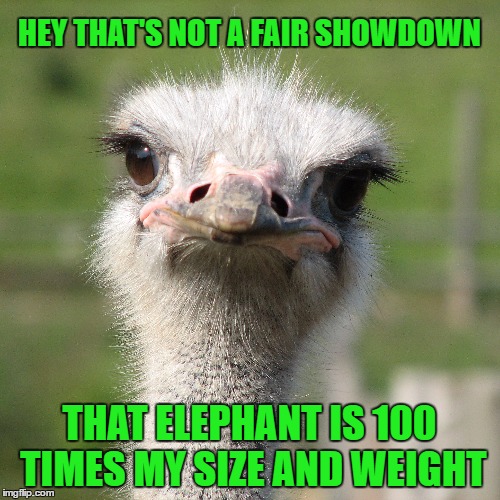 HEY THAT'S NOT A FAIR SHOWDOWN THAT ELEPHANT IS 100 TIMES MY SIZE AND WEIGHT | made w/ Imgflip meme maker