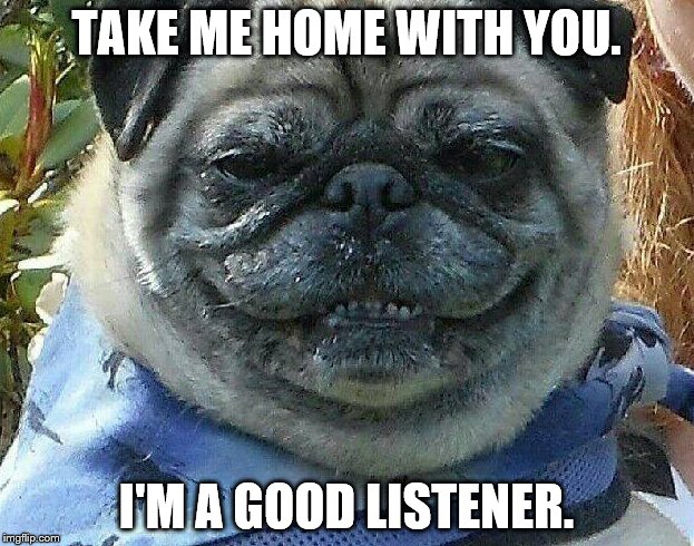 Neat Pug | TAKE ME HOME WITH YOU. I'M A GOOD LISTENER. | image tagged in neat pug | made w/ Imgflip meme maker