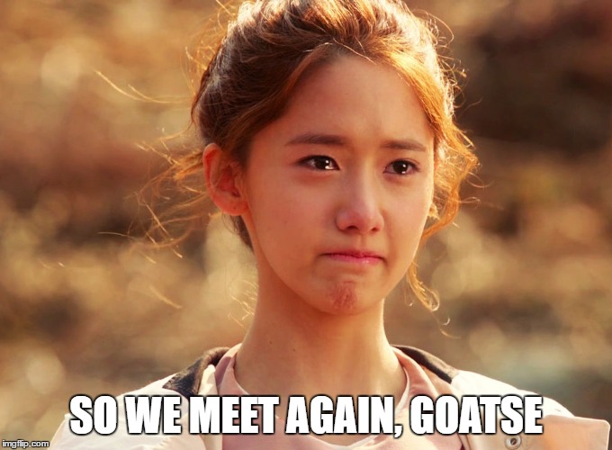 Yoona Crying | SO WE MEET AGAIN, GOATSE | image tagged in yoona crying | made w/ Imgflip meme maker