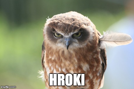HROKI | image tagged in ugla 005 | made w/ Imgflip meme maker
