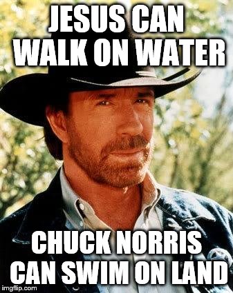 Chuck Norris | JESUS CAN WALK ON WATER; CHUCK NORRIS CAN SWIM ON LAND | image tagged in chuck norris | made w/ Imgflip meme maker
