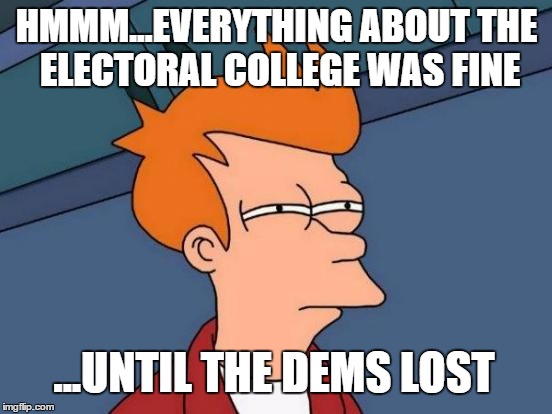 losers never win | HMMM...EVERYTHING ABOUT THE ELECTORAL COLLEGE WAS FINE; ...UNTIL THE DEMS LOST | image tagged in memes,futurama fry | made w/ Imgflip meme maker