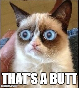 Grumpy Cat Shocked | THAT'S A BUTT | image tagged in grumpy cat shocked | made w/ Imgflip meme maker