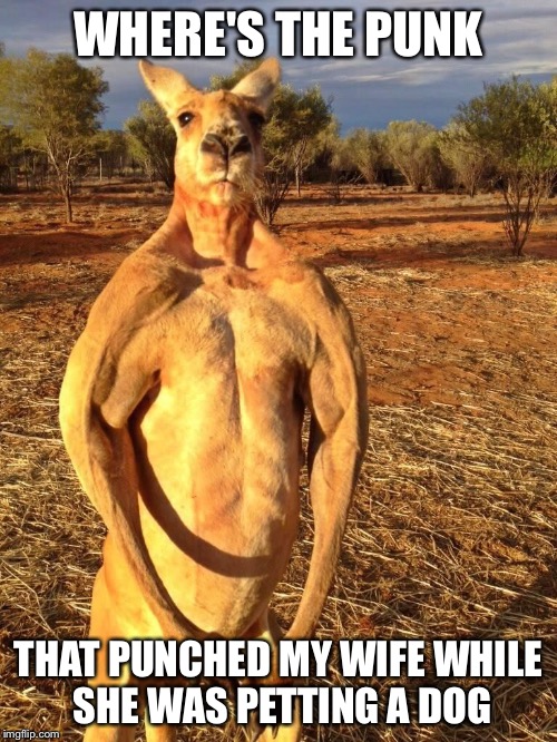 Buff Kangaroo | WHERE'S THE PUNK; THAT PUNCHED MY WIFE WHILE SHE WAS PETTING A DOG | image tagged in buff kangaroo | made w/ Imgflip meme maker