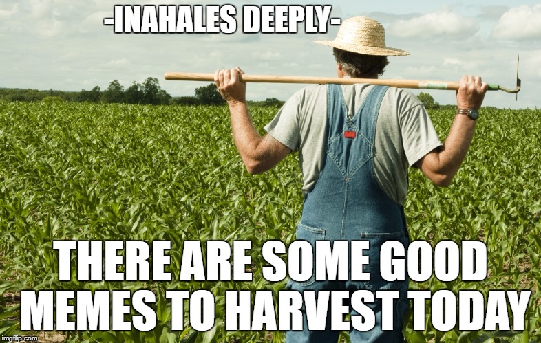 meme farming | -INAHALES DEEPLY-; THERE ARE SOME GOOD MEMES TO HARVEST TODAY | image tagged in meme farmer,harvest,memes,farmer | made w/ Imgflip meme maker