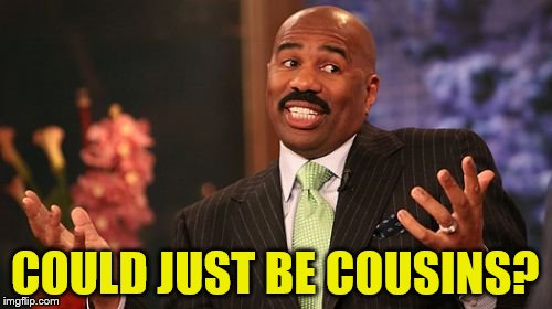 Steve Harvey Meme | COULD JUST BE COUSINS? | image tagged in memes,steve harvey | made w/ Imgflip meme maker