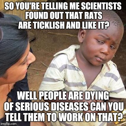 Third World Skeptical Kid | SO YOU'RE TELLING ME SCIENTISTS FOUND OUT THAT RATS ARE TICKLISH AND LIKE IT? WELL PEOPLE ARE DYING OF SERIOUS DISEASES CAN YOU TELL THEM TO WORK ON THAT? | image tagged in memes,third world skeptical kid | made w/ Imgflip meme maker