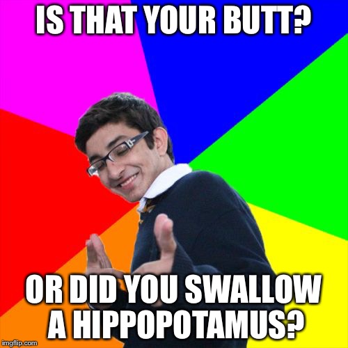 Subtle Pickup Liner | IS THAT YOUR BUTT? OR DID YOU SWALLOW A HIPPOPOTAMUS? | image tagged in memes,subtle pickup liner | made w/ Imgflip meme maker