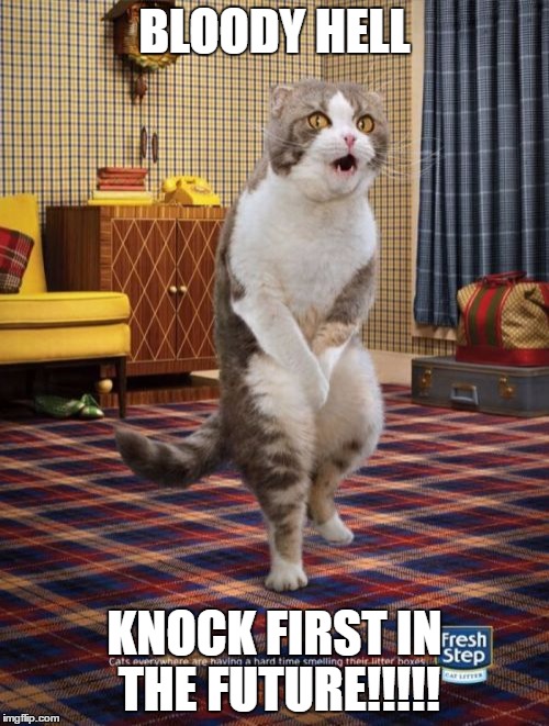 Busted cat | BLOODY HELL; KNOCK FIRST IN THE FUTURE!!!!! | image tagged in memes,gotta go cat | made w/ Imgflip meme maker