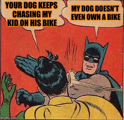 Batman Slapping Robin Meme | YOUR DOG KEEPS CHASING MY KID ON HIS BIKE MY DOG DOESN'T EVEN OWN A BIKE | image tagged in memes,batman slapping robin | made w/ Imgflip meme maker