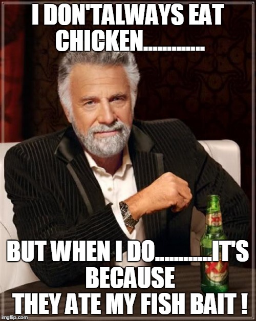 The Most Interesting Man In The World | I DON'TALWAYS EAT CHICKEN............. BUT WHEN I DO............IT'S BECAUSE THEY ATE MY FISH BAIT ! | image tagged in memes,the most interesting man in the world | made w/ Imgflip meme maker