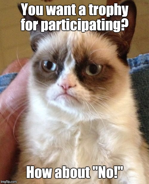 Grumpy Cat Meme | You want a trophy for participating? How about "No!" | image tagged in memes,grumpy cat | made w/ Imgflip meme maker