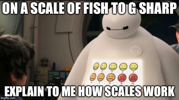 Scales | ON A SCALE OF FISH TO G SHARP; EXPLAIN TO ME HOW SCALES WORK | image tagged in i don't know,fromthescale of 1 to 10  how would you rate this bullshit | made w/ Imgflip meme maker
