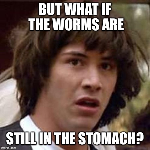 Conspiracy Keanu Meme | BUT WHAT IF THE WORMS ARE STILL IN THE STOMACH? | image tagged in memes,conspiracy keanu | made w/ Imgflip meme maker