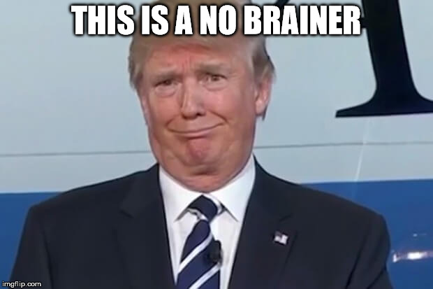 donald trump | THIS IS A NO BRAINER | image tagged in donald trump | made w/ Imgflip meme maker