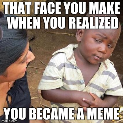 Third World Skeptical Kid | THAT FACE YOU MAKE WHEN YOU REALIZED; YOU BECAME A MEME | image tagged in memes,third world skeptical kid | made w/ Imgflip meme maker