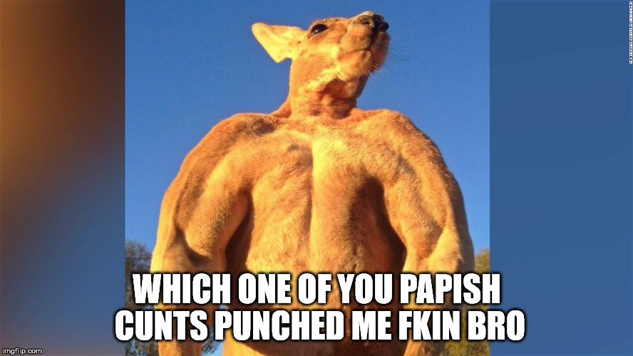 WHICH ONE OF YOU PAPISH CUNTS PUNCHED ME FKIN BRO | made w/ Imgflip meme maker