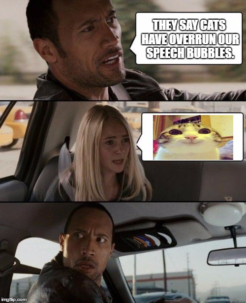 The Rock Driving Meme | THEY SAY CATS HAVE OVERRUN OUR SPEECH BUBBLES. | image tagged in memes,the rock driving | made w/ Imgflip meme maker