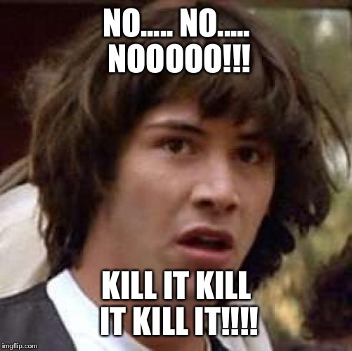 Conspiracy Keanu Meme | NO..... NO..... NOOOOO!!! KILL IT KILL IT KILL IT!!!! | image tagged in memes,conspiracy keanu | made w/ Imgflip meme maker