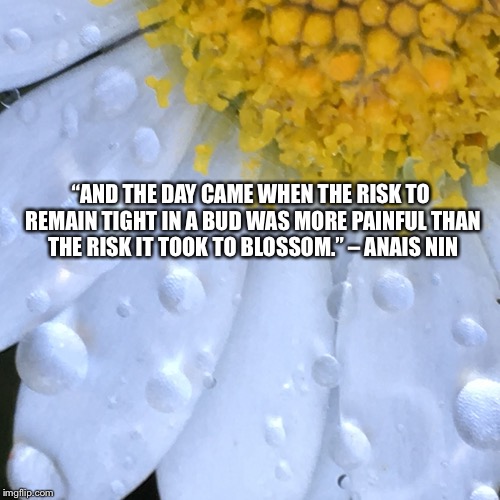 “AND THE DAY CAME WHEN THE RISK TO REMAIN TIGHT IN A BUD WAS MORE PAINFUL THAN THE RISK IT TOOK TO BLOSSOM.” – ANAIS NIN | image tagged in bloom | made w/ Imgflip meme maker