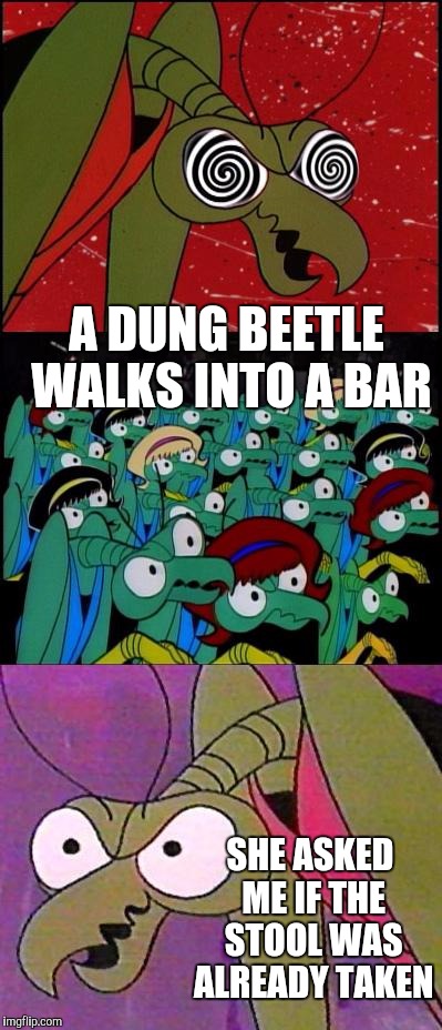 Zorak Mind Control | A DUNG BEETLE WALKS INTO A BAR; SHE ASKED ME IF THE STOOL WAS ALREADY TAKEN | image tagged in zorak mind control | made w/ Imgflip meme maker