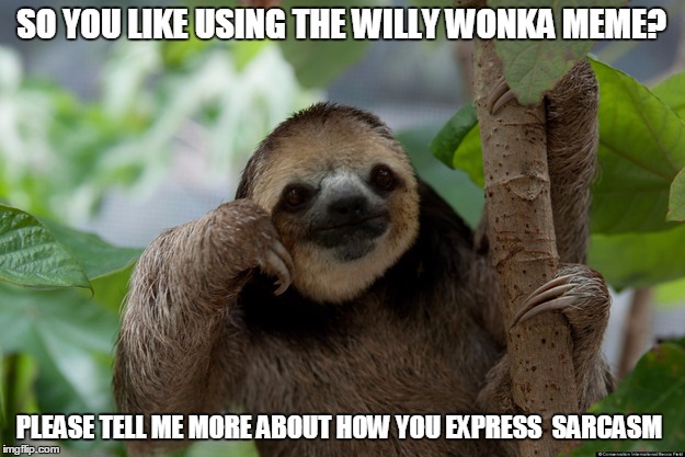 SO YOU LIKE USING THE WILLY WONKA MEME? PLEASE TELL ME MORE ABOUT HOW YOU EXPRESS  SARCASM | image tagged in sarcasm,willy wonka,sloth | made w/ Imgflip meme maker