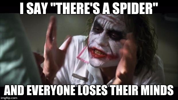 And everybody loses their minds | I SAY "THERE'S A SPIDER"; AND EVERYONE LOSES THEIR MINDS | image tagged in memes,and everybody loses their minds | made w/ Imgflip meme maker