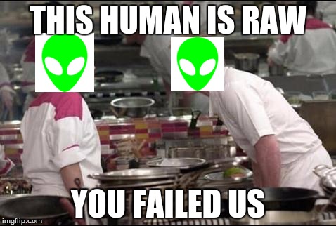 Angry Chef Gordon Ramsay Meme | THIS HUMAN IS RAW; YOU FAILED US | image tagged in memes,angry chef gordon ramsay | made w/ Imgflip meme maker