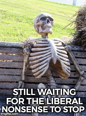 Waiting Skeleton | NONSENSE TO STOP; STILL WAITING FOR THE LIBERAL | image tagged in memes,waiting skeleton | made w/ Imgflip meme maker