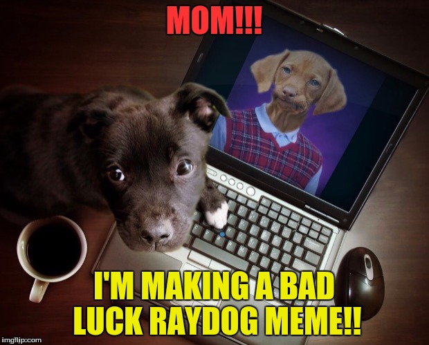 MOM!!! I'M MAKING A BAD LUCK RAYDOG MEME!! | image tagged in raydog on the computer,raydog,mom | made w/ Imgflip meme maker
