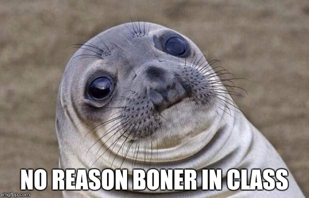 Awkward Moment Sealion Meme | NO REASON BONER IN CLASS | image tagged in memes,awkward moment sealion | made w/ Imgflip meme maker