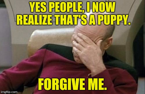 Captain Picard Facepalm Meme | YES PEOPLE, I NOW REALIZE THAT'S A PUPPY. FORGIVE ME. | image tagged in memes,captain picard facepalm | made w/ Imgflip meme maker