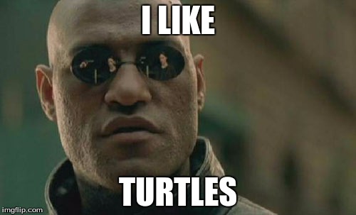 Matrix Morpheus Meme | I LIKE; TURTLES | image tagged in memes,matrix morpheus | made w/ Imgflip meme maker