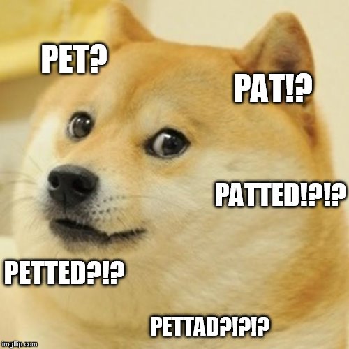 Doge Meme | PET? PAT!? PATTED!?!? PETTED?!? PETTAD?!?!? | image tagged in memes,doge | made w/ Imgflip meme maker