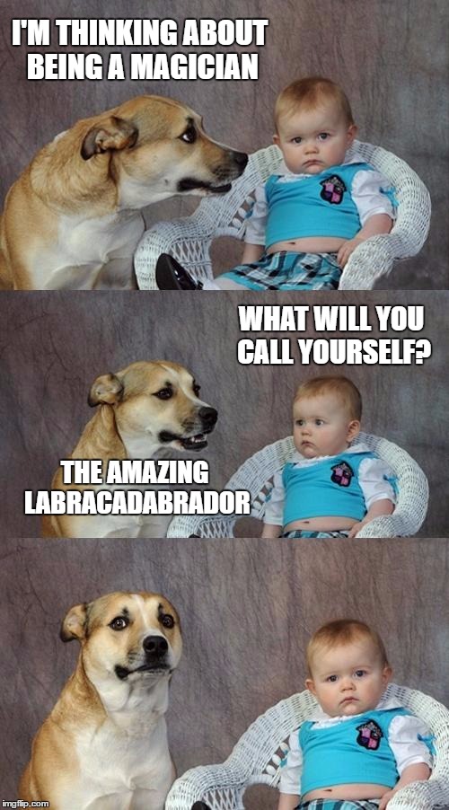 Dad Joke Dog Meme | I'M THINKING ABOUT BEING A MAGICIAN; WHAT WILL YOU CALL YOURSELF? THE AMAZING LABRACADABRADOR | image tagged in memes,dad joke dog | made w/ Imgflip meme maker