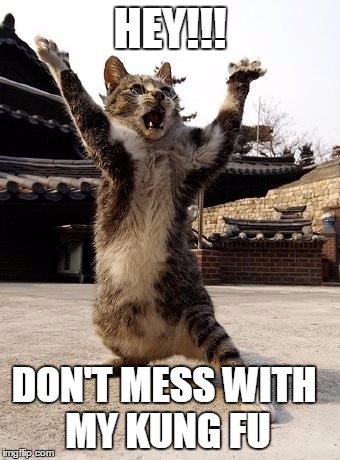 Kung Fu Kitten | HEY!!! DON'T MESS WITH MY KUNG FU | image tagged in memes,kitten | made w/ Imgflip meme maker