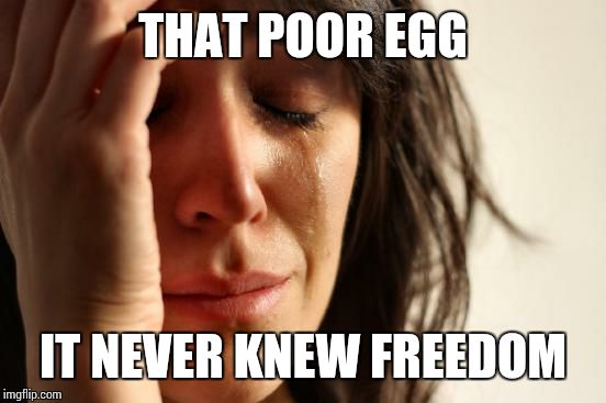 First World Problems Meme | THAT POOR EGG IT NEVER KNEW FREEDOM | image tagged in memes,first world problems | made w/ Imgflip meme maker