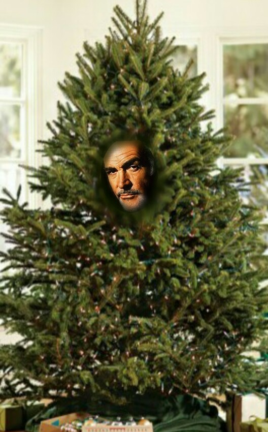 Sean Conifer Christmas Tree Blank Meme Template