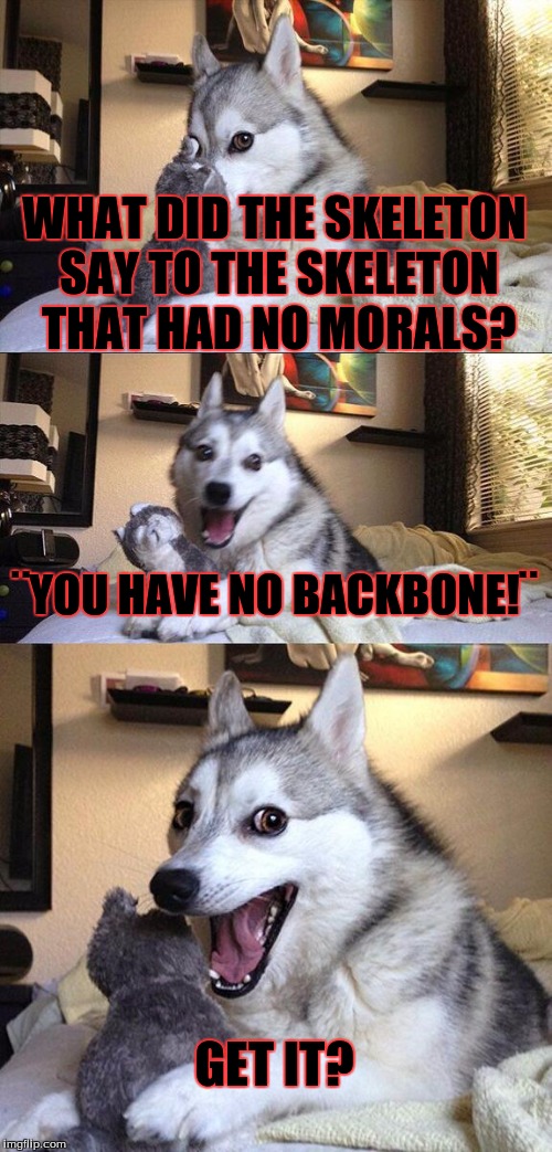 suprisingly genius for a bad pun | WHAT DID THE SKELETON SAY TO THE SKELETON THAT HAD NO MORALS? ¨YOU HAVE NO BACKBONE!¨; GET IT? | image tagged in memes,bad pun dog | made w/ Imgflip meme maker