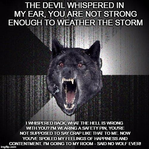 another wolf meme | THE DEVIL WHISPERED IN MY EAR, YOU ARE NOT STRONG ENOUGH TO WEATHER THE STORM; I WHISPERED BACK, WHAT THE HELL IS WRONG WITH YOU? I'M WEARING A SAFETY PIN, YOU'RE NOT SUPPOSED TO SAY CRAP LIKE THAT TO ME. NOW YOU'VE SPOILED MY FEELINGS OF HAPPINESS AND CONTENTMENT. I'M GOING TO MY ROOM - SAID NO WOLF EVER! | image tagged in memes,insanity wolf,devil whisper,safe space | made w/ Imgflip meme maker