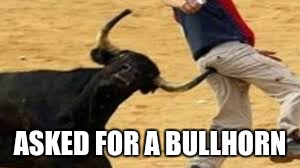 ASKED FOR A BULLHORN | image tagged in bull horn | made w/ Imgflip meme maker