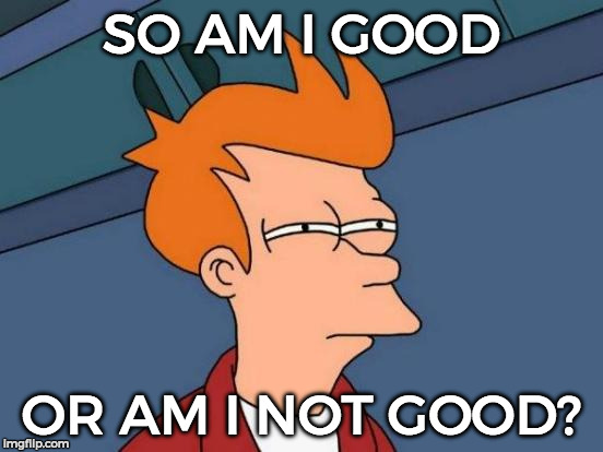 Futurama Fry Meme | SO AM I GOOD OR AM I NOT GOOD? | image tagged in memes,futurama fry | made w/ Imgflip meme maker