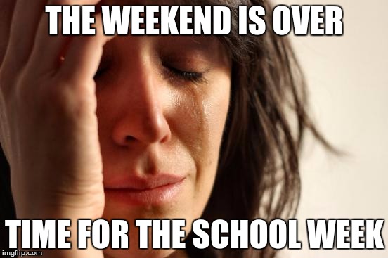 First World Problems | THE WEEKEND IS OVER; TIME FOR THE SCHOOL WEEK | image tagged in memes,first world problems | made w/ Imgflip meme maker